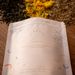 bumwell Essentials Verpackung mit Calendula-Blüten - Bio-Kräutermischung aus Schwarztee, Eichenrinde und Ringelblumen