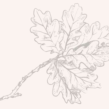 Illustration eines Eichenblattes