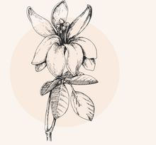 Illustration einer Blume